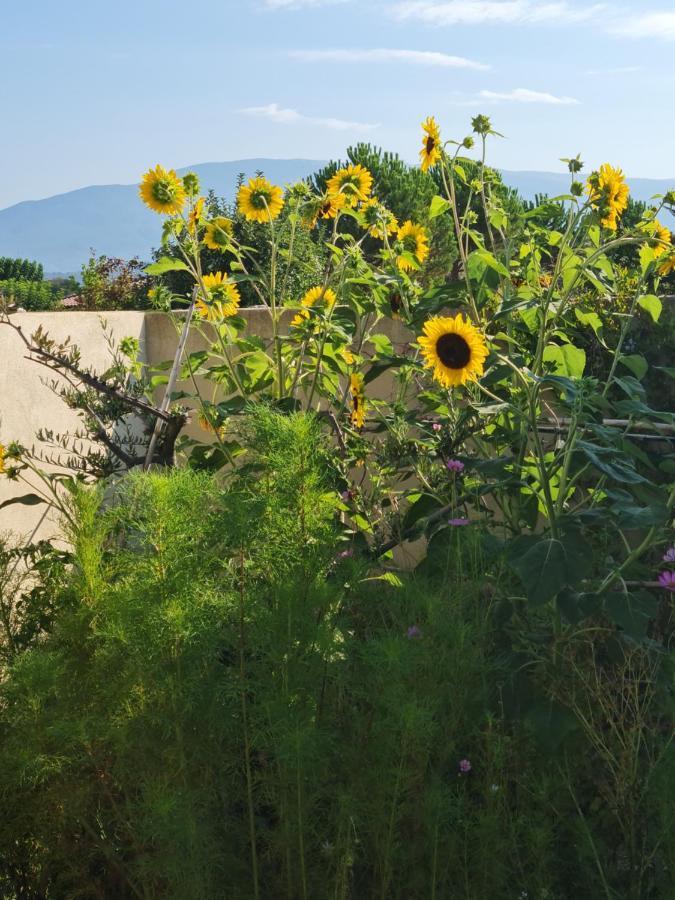 Petit Gite De Provence Мазан Екстериор снимка