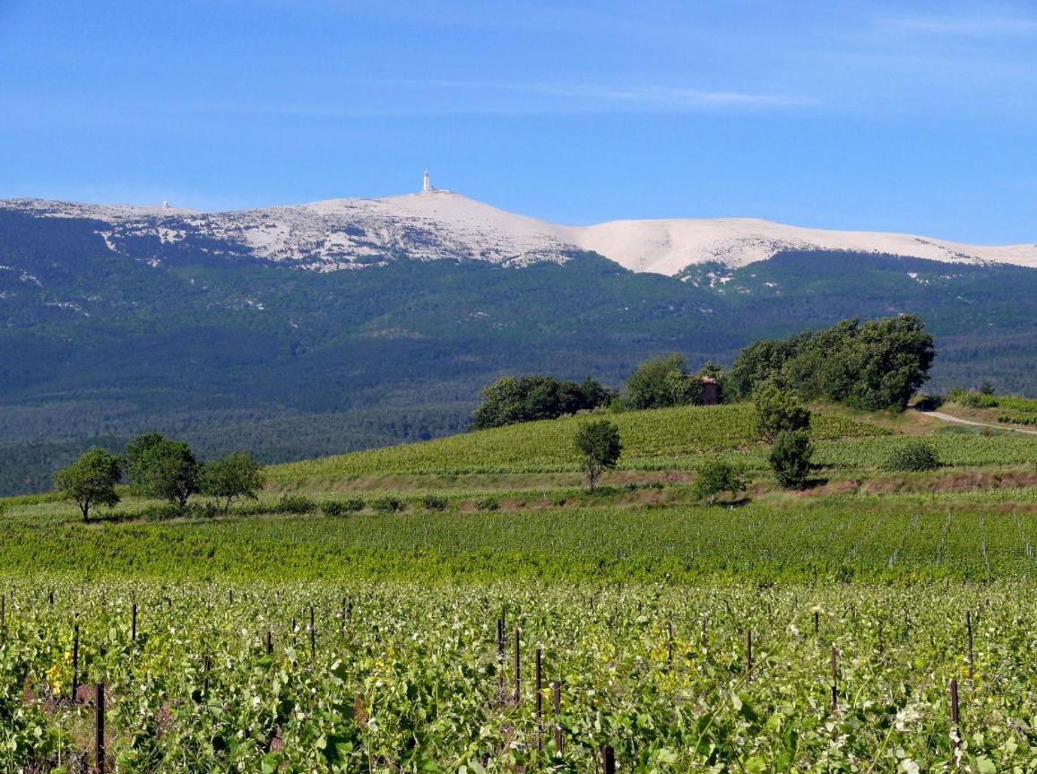 Petit Gite De Provence Мазан Екстериор снимка