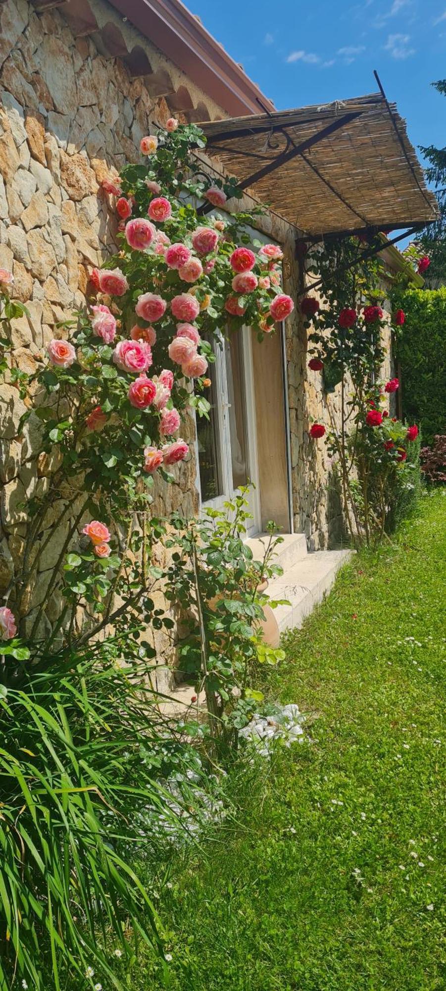 Petit Gite De Provence Мазан Екстериор снимка